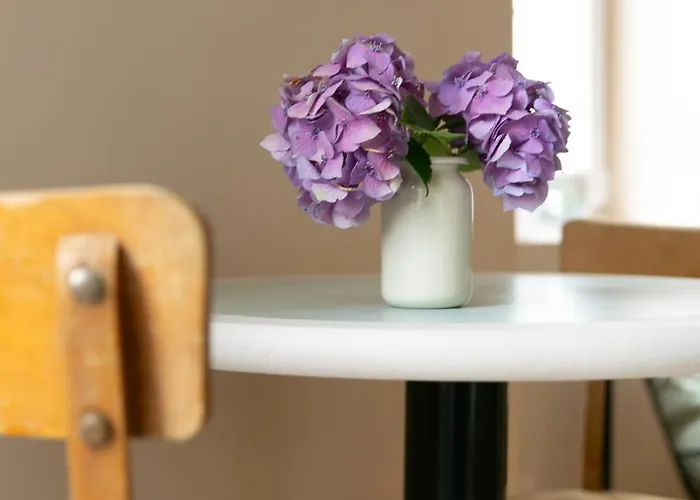 Bord De Loire - Proche Centre - Aeroport A - 10min アパート *